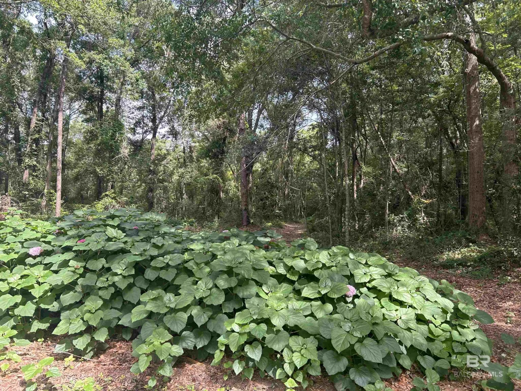 Autumn Ridge Drive, Mobile