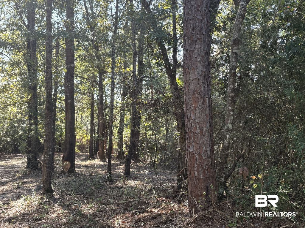 40703 County Road 39, Bay Minette