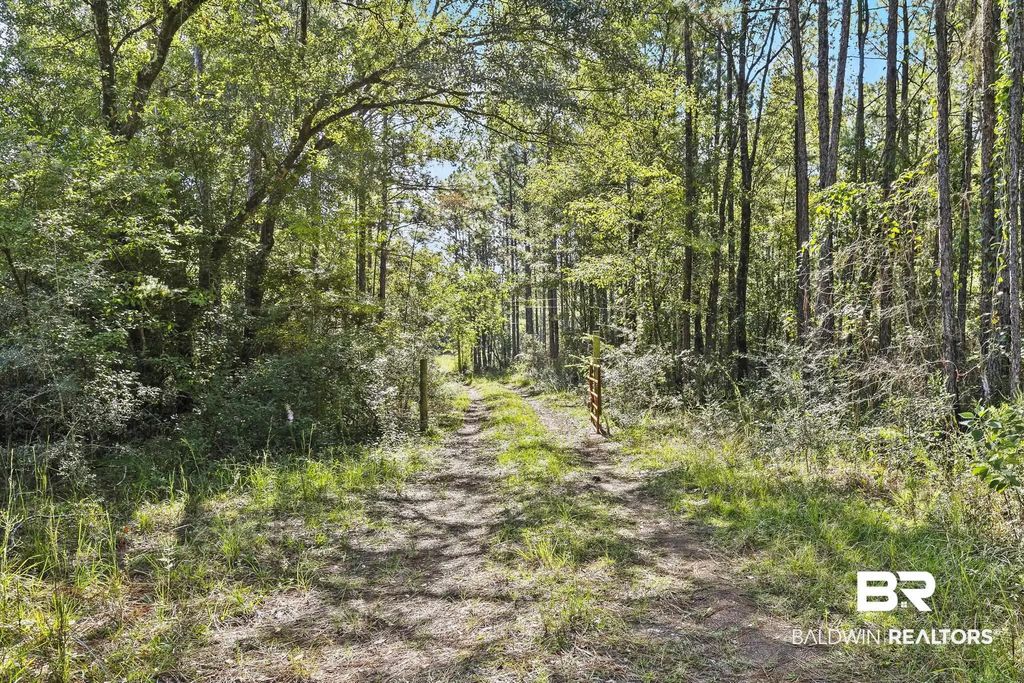 Nokomis Road, Walnut Hill