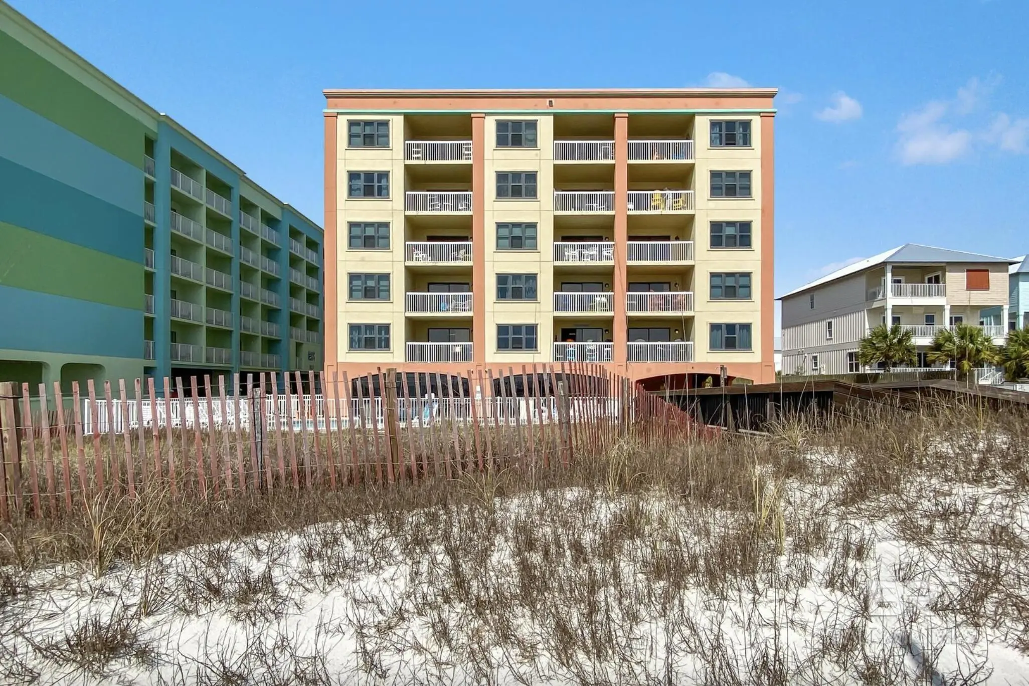 Photo of Listing #376588