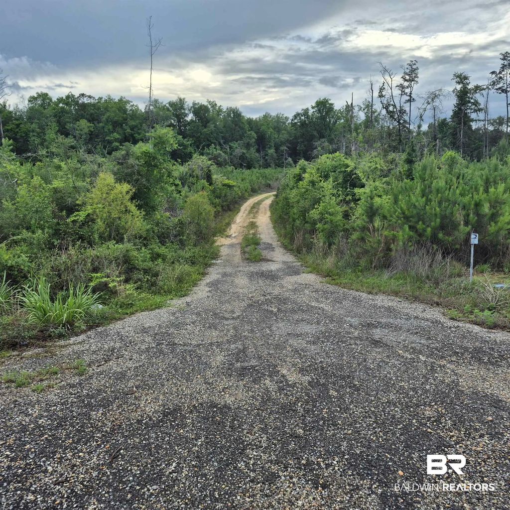 County Road 35, Evergreen
