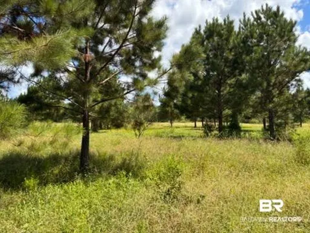 Boros Road, Elberta