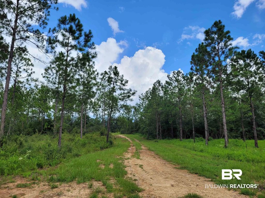39449 S State Highway 59, Bay Minette