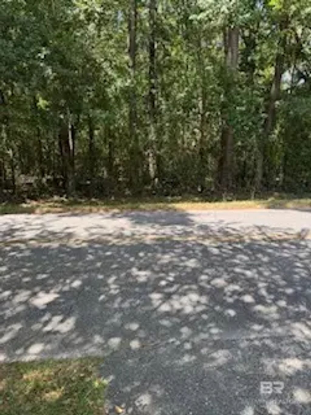 3557 Short Van Liew Road, Mobile