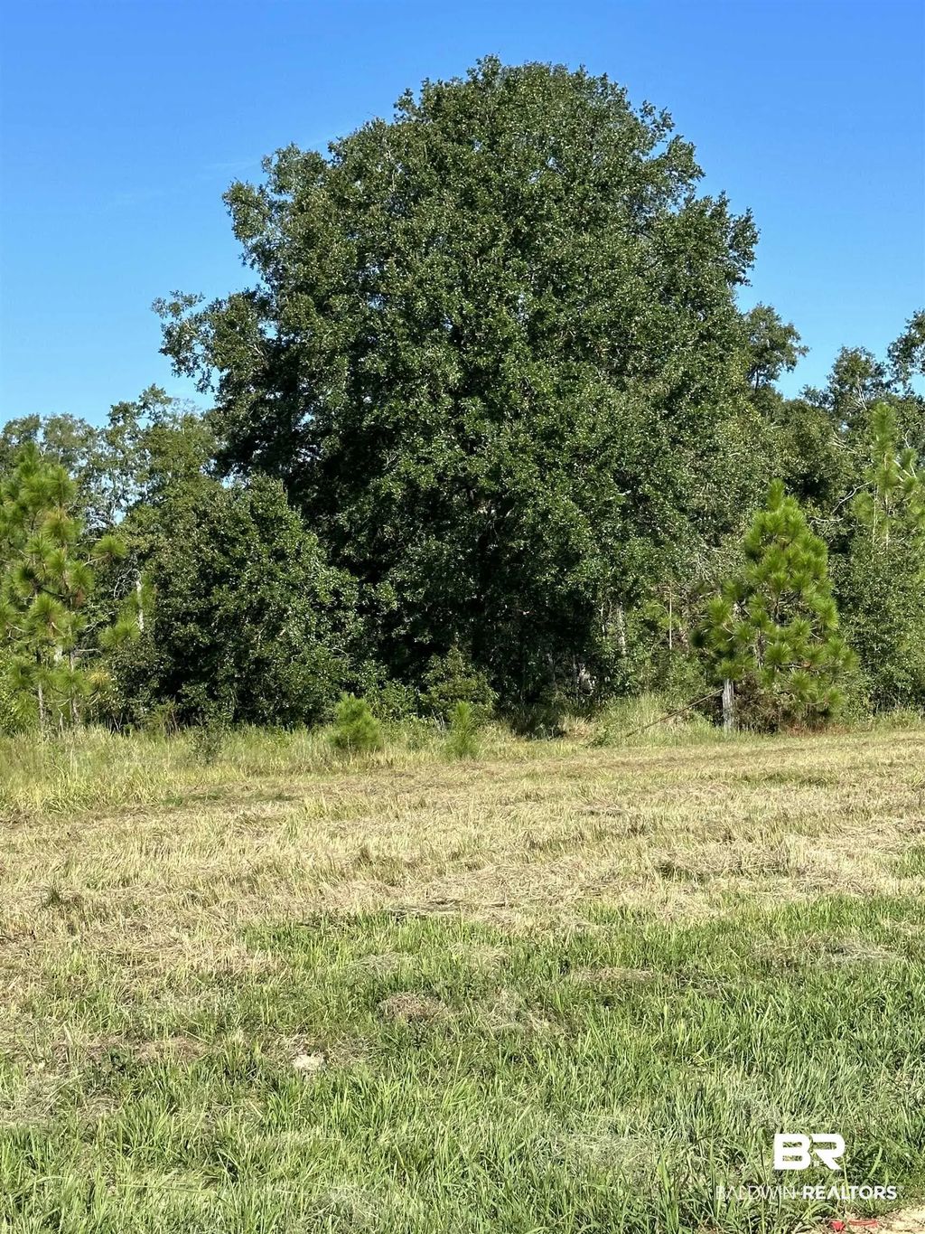Hampton Ridge Court, Mobile