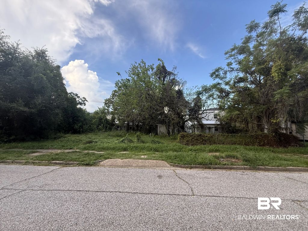 1104 Elmira St, Mobile