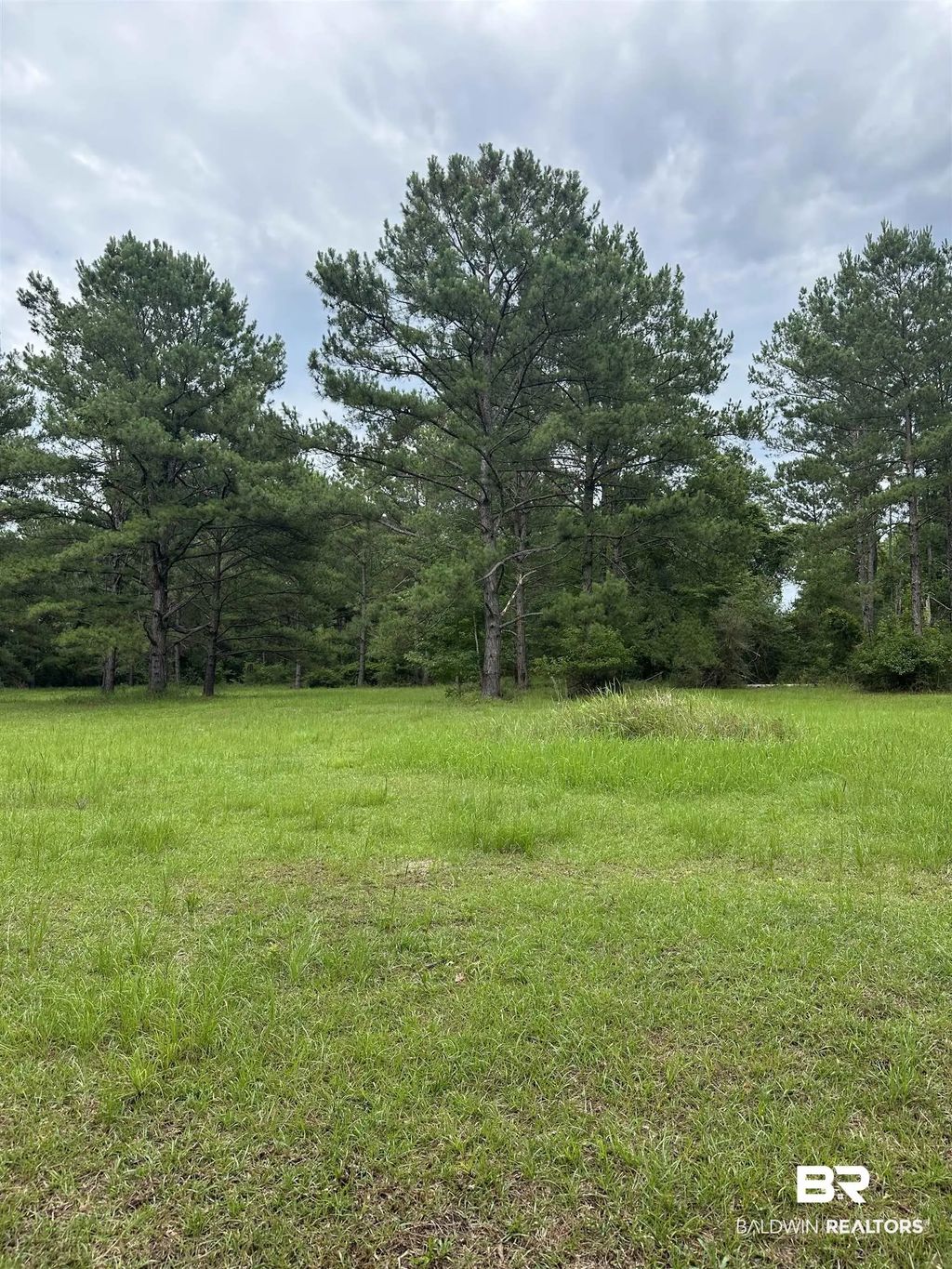 40140 Dogwood Fork Road, Bay Minette