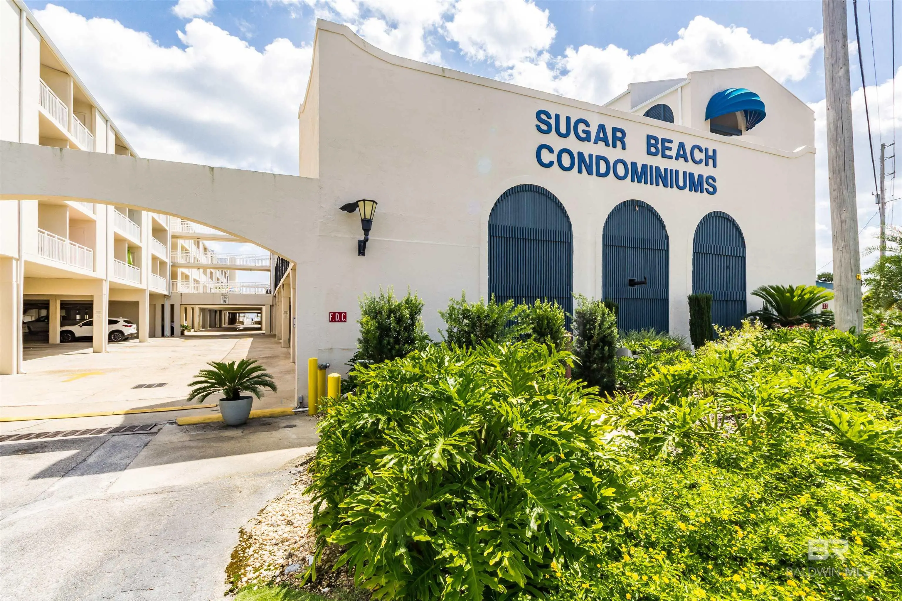 Photo of Listing #379819