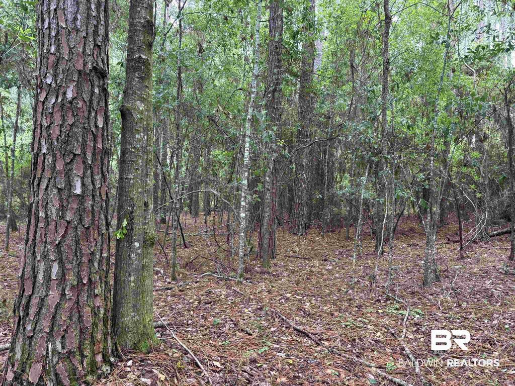Lot 5 County Road 48 5, Robertsdale