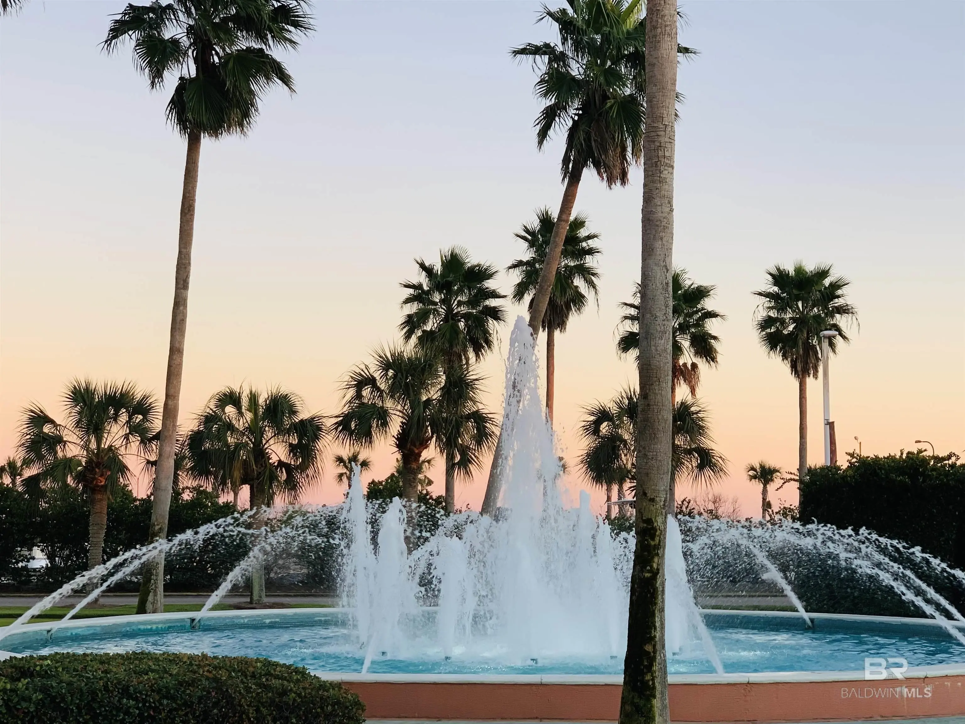 Photo of Listing #376857