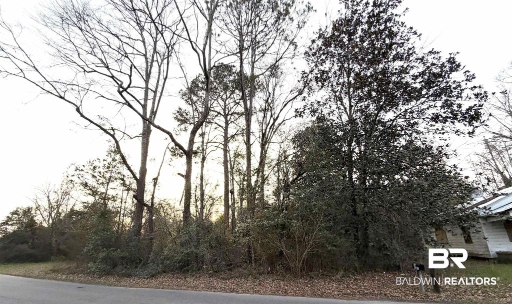 Lt 11 Blk 3 Martin Luther King Drive, Brewton