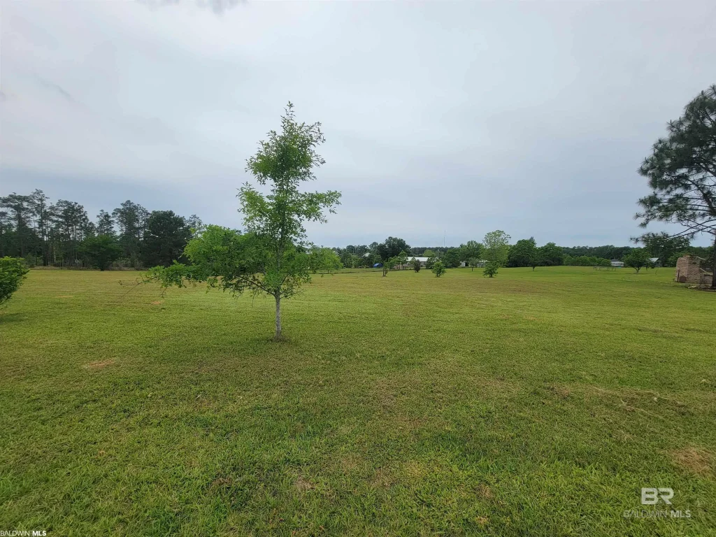 15799 Fawns Run Road, Bay Minette