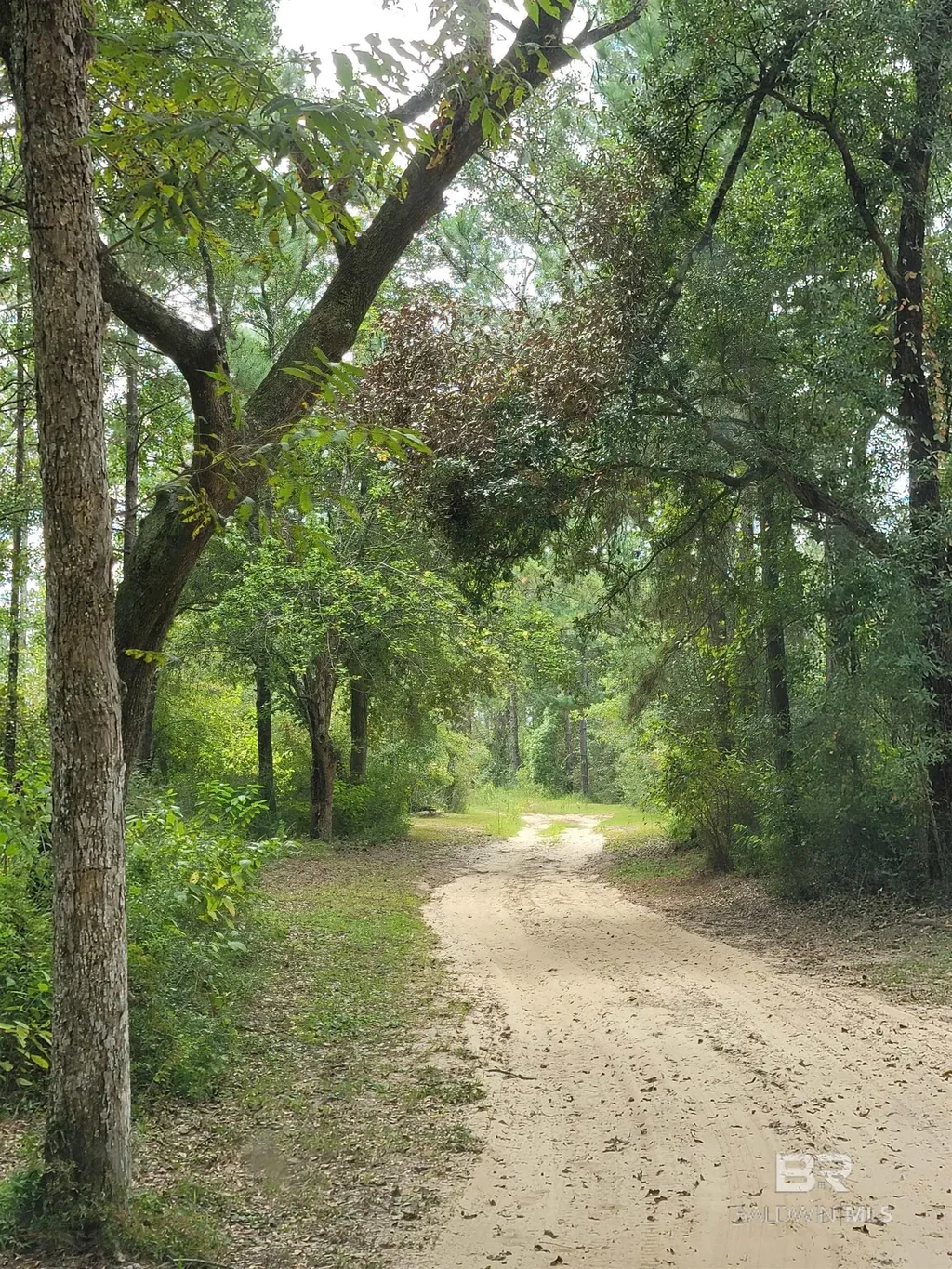 17505 Hansel Hodges Road, Elberta