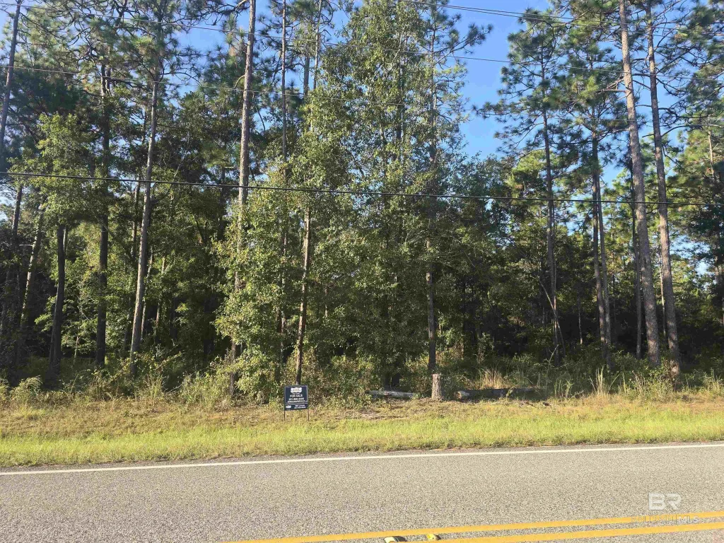 12164 Bromley Road, Stapleton