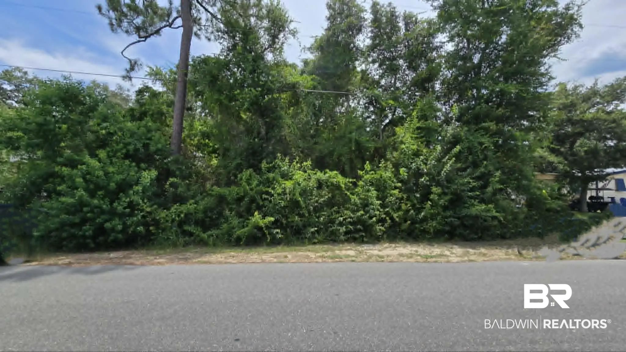 Photo of Listing #399174