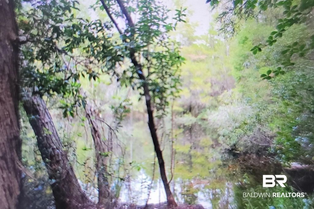 Juniper Road, Seminole
