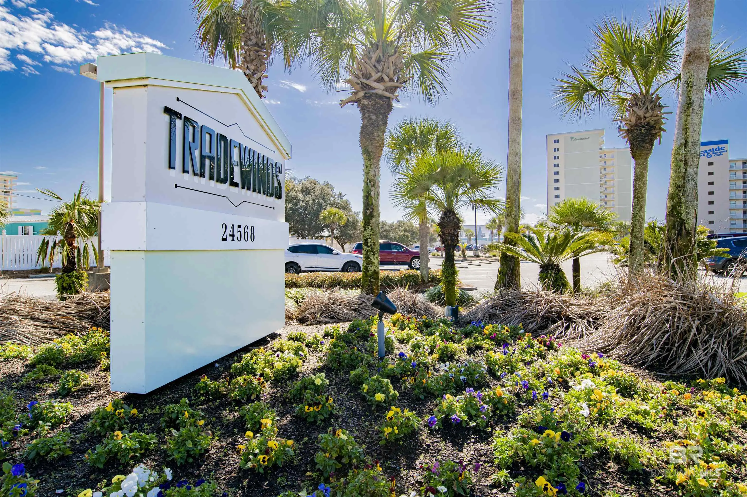 Photo of Listing #375035