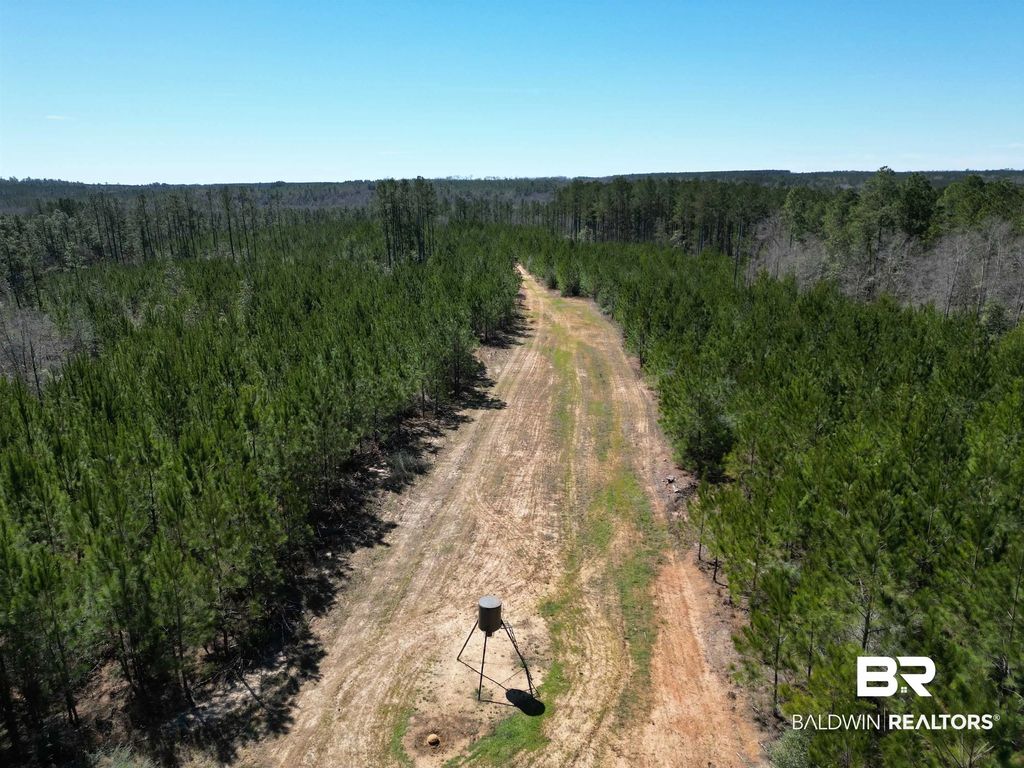 7 Robinsonville Road, Atmore