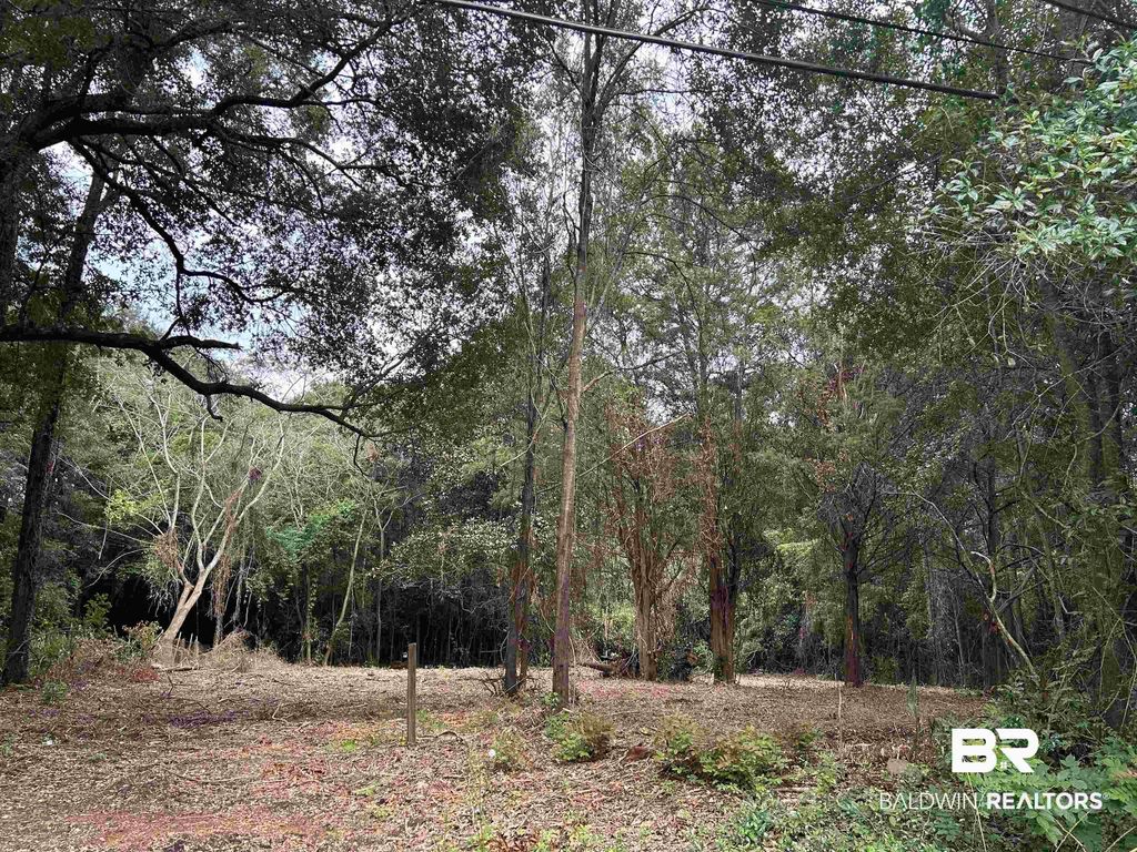 229 East Drive, Mobile