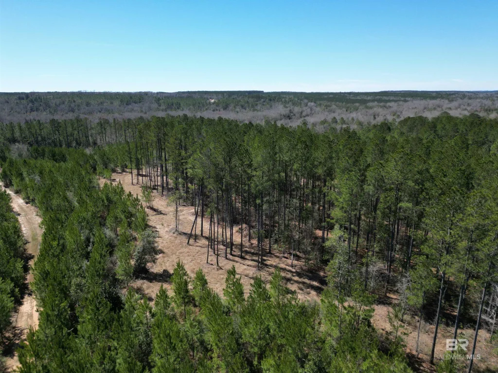 4 Robinsonville Road, Atmore