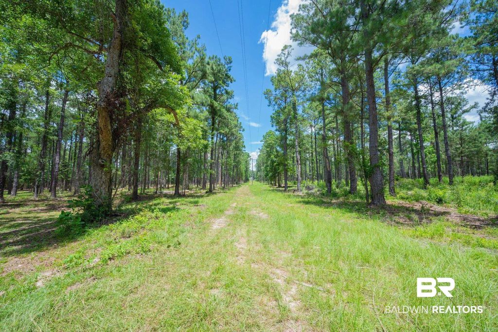 Hurricane Road, Bay Minette