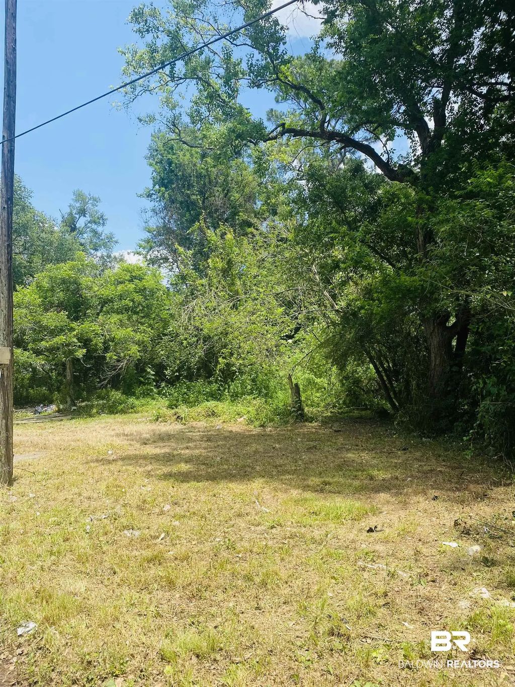 421 W Foch Street, Mobile