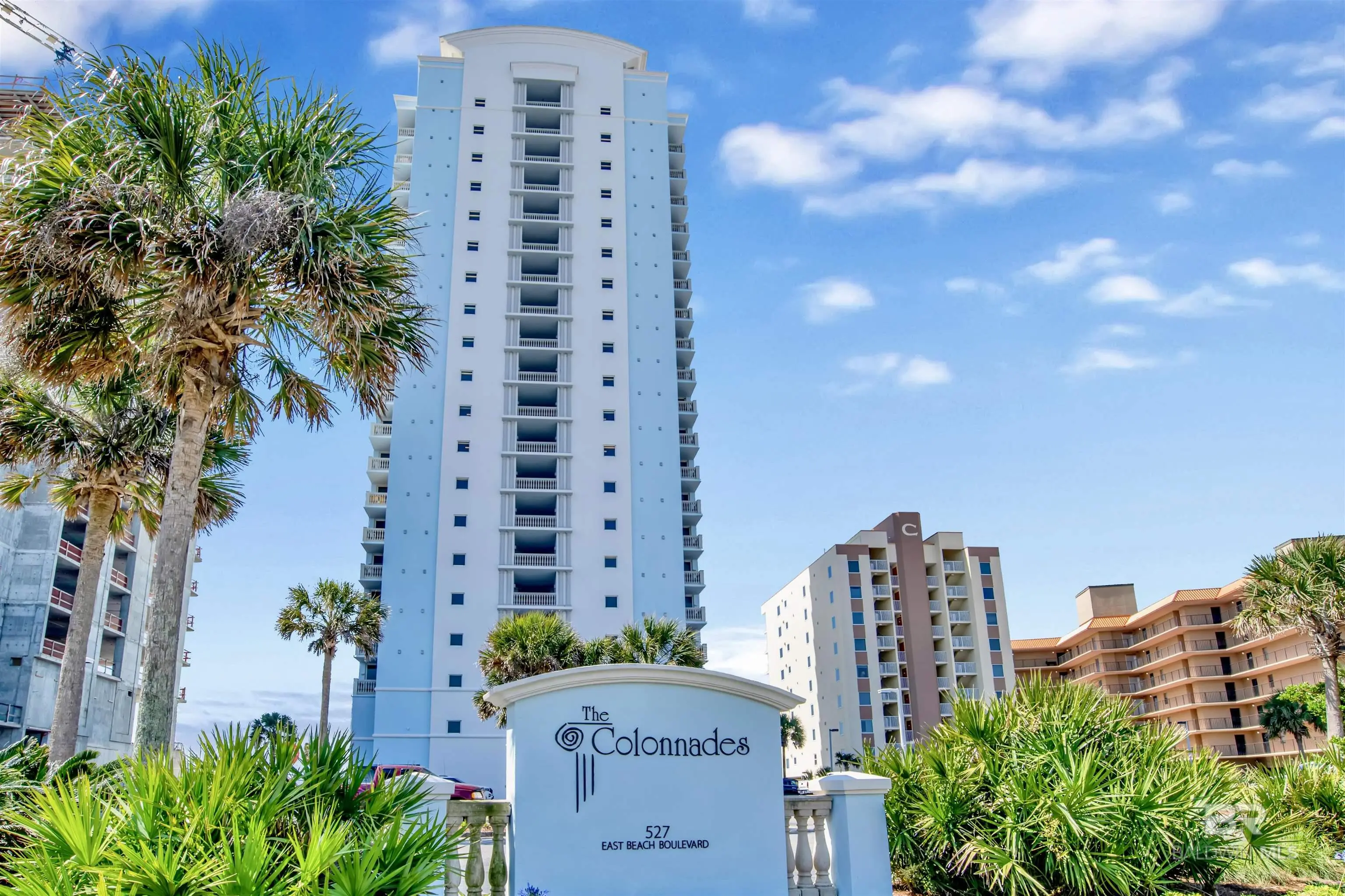 Photo of Listing #371676