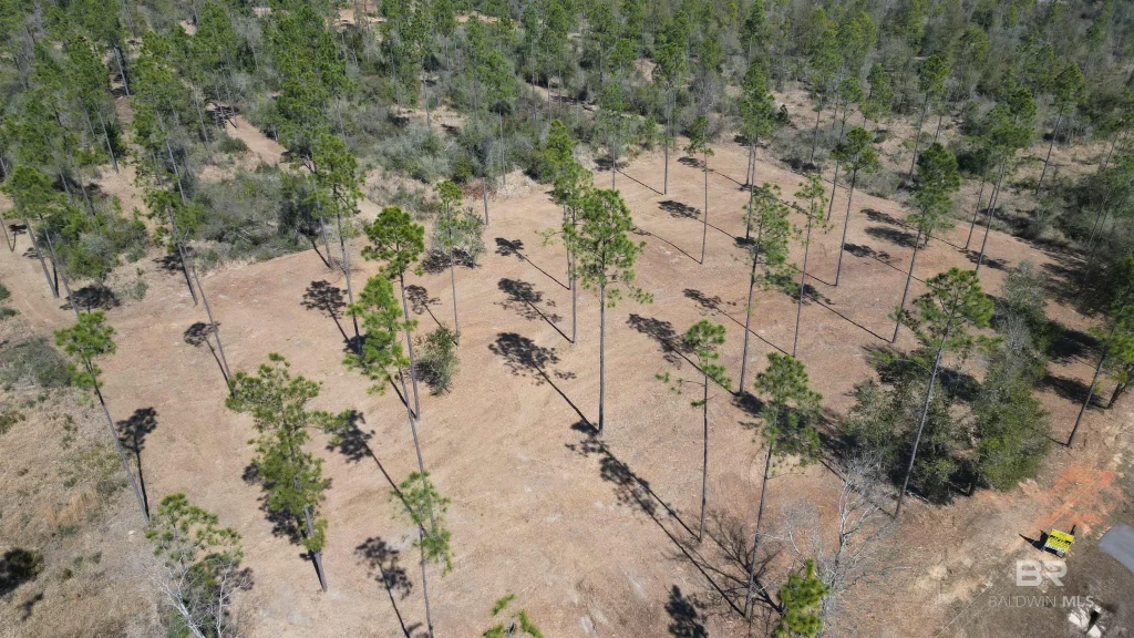 Archie Road, Elberta