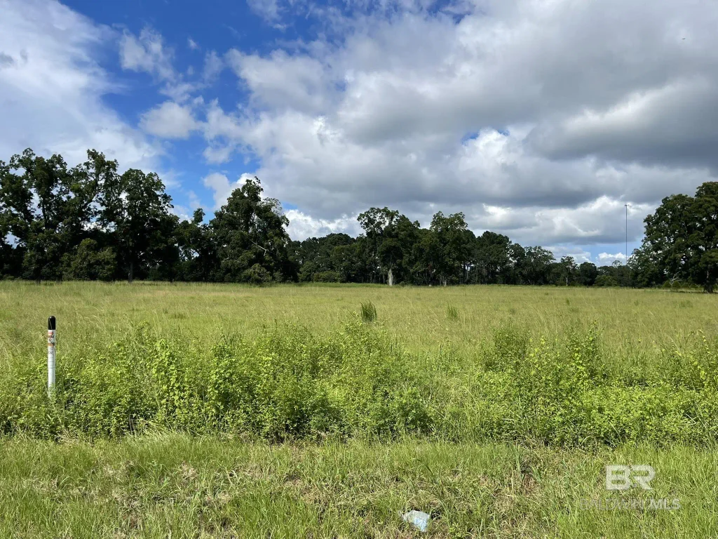 Lot 1 County Road 62, Robertsdale