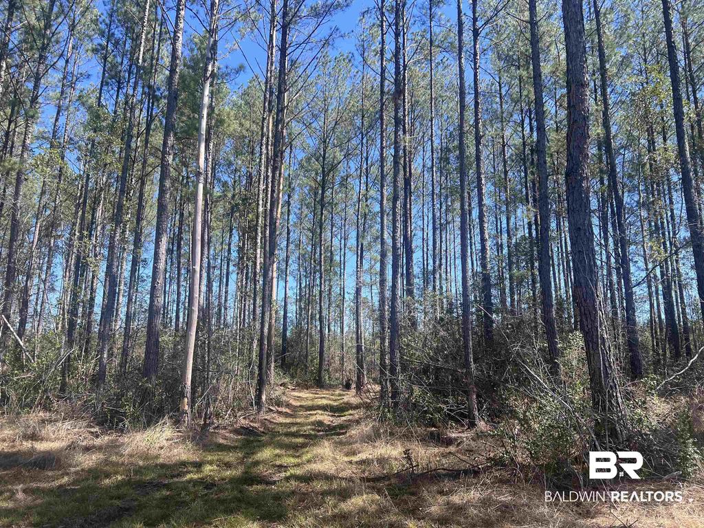 6 Robinsonville Road, Atmore