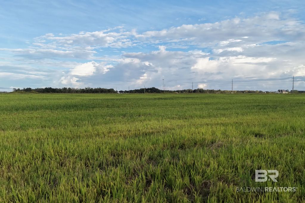 County Road 65 Lot #3, Foley