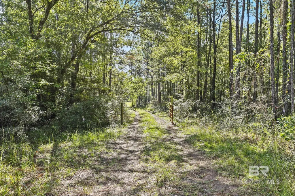 Nokomis Road, Walnut Hill