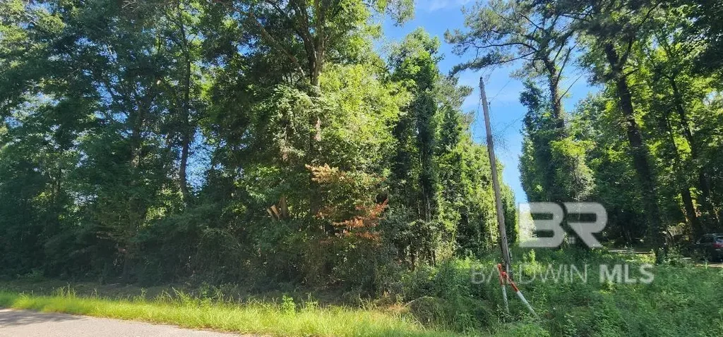 Smith Road, Stockton