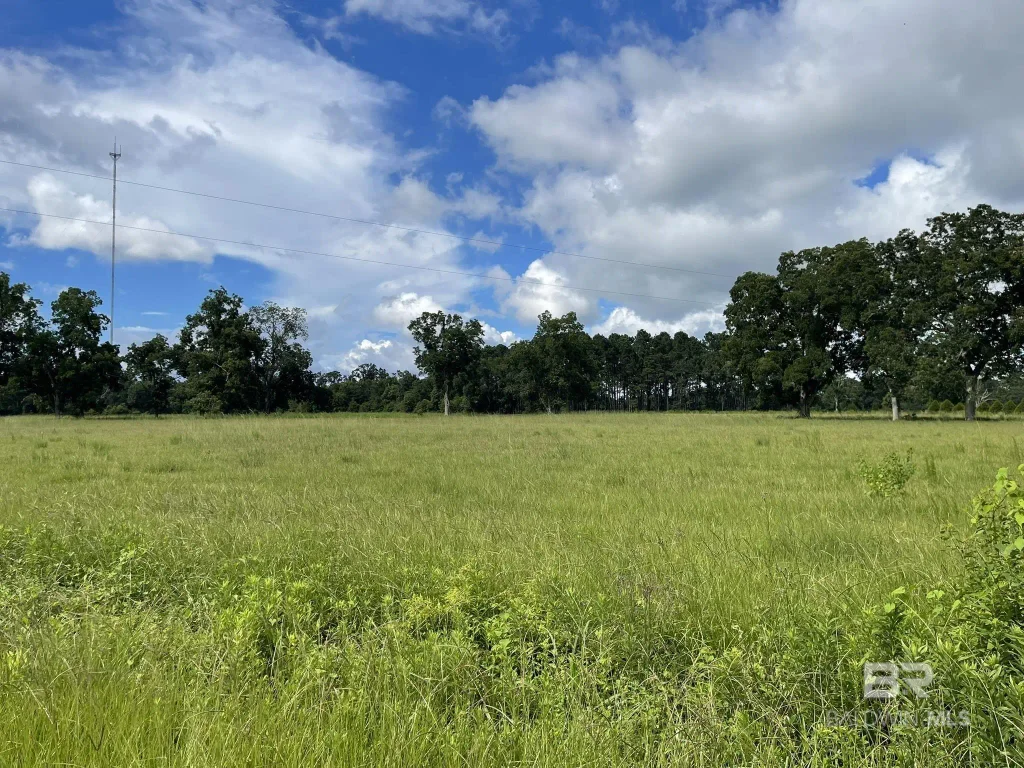 Lot 2 County Road 62, Robertsdale