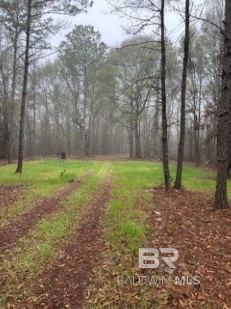 W Eastward Road, Jackson