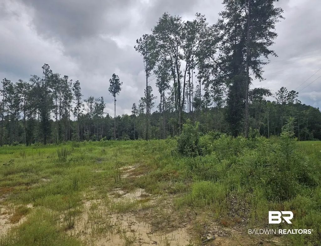 23799 Lonnie Hadley Road 1, Perdido