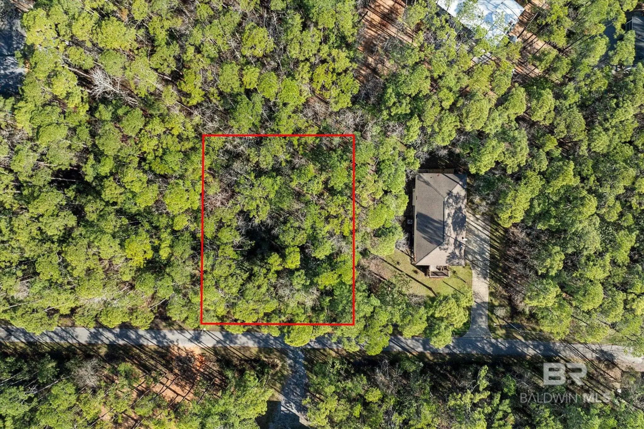 Photo of Listing #374588