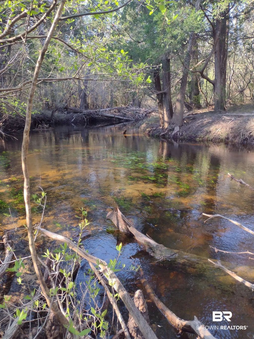 Phillipsville Road, Bay Minette