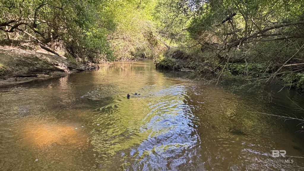 1950 Wilma Road, McDavid