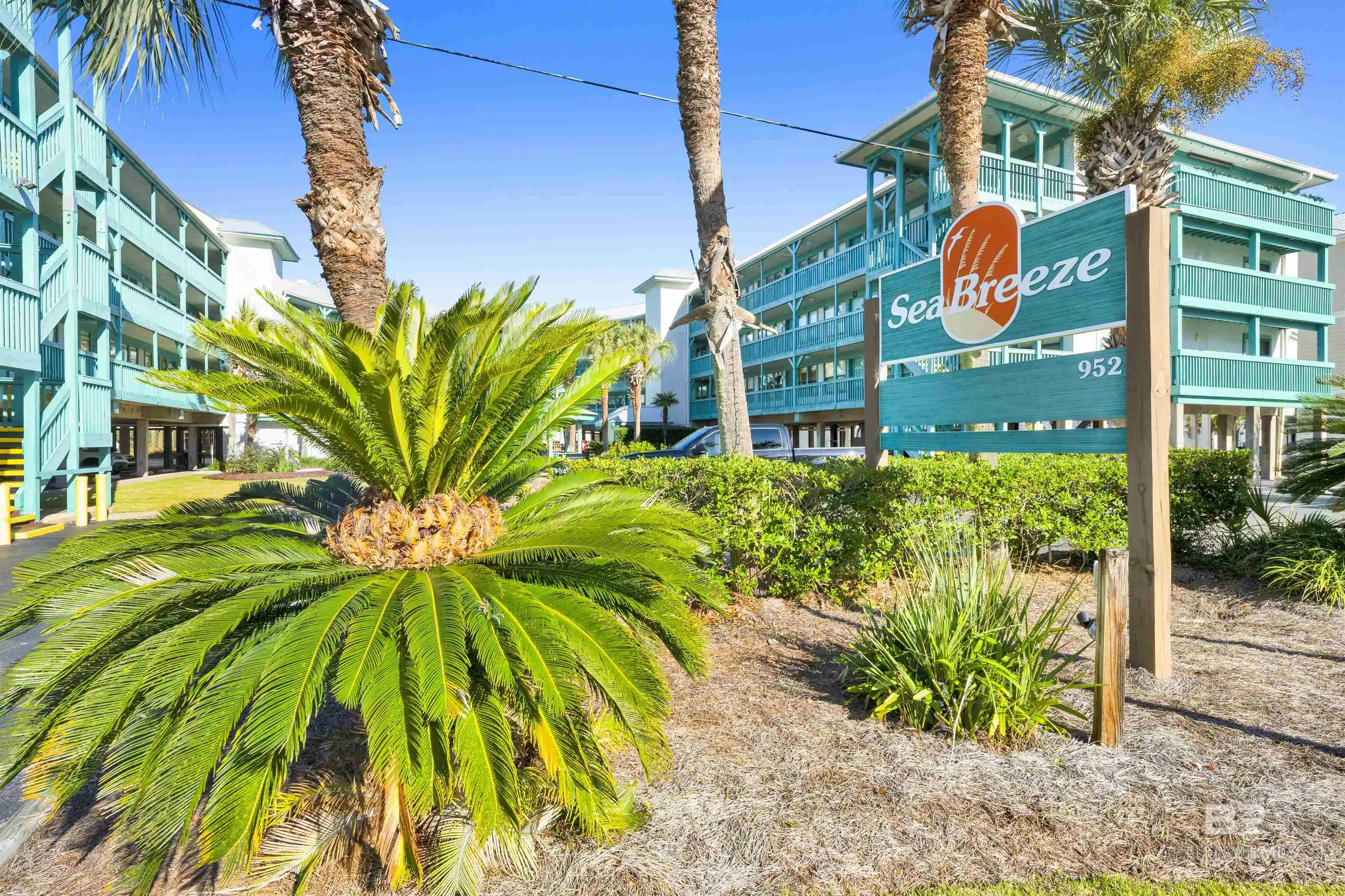 Photo of Listing #389957