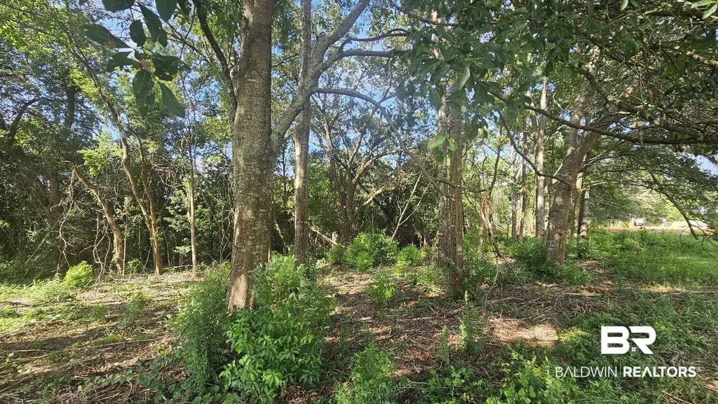 903 Savannah Court, Summerdale