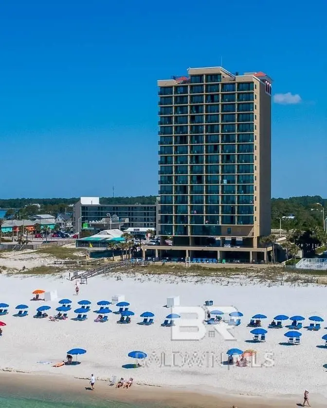 Photo of Listing #353975