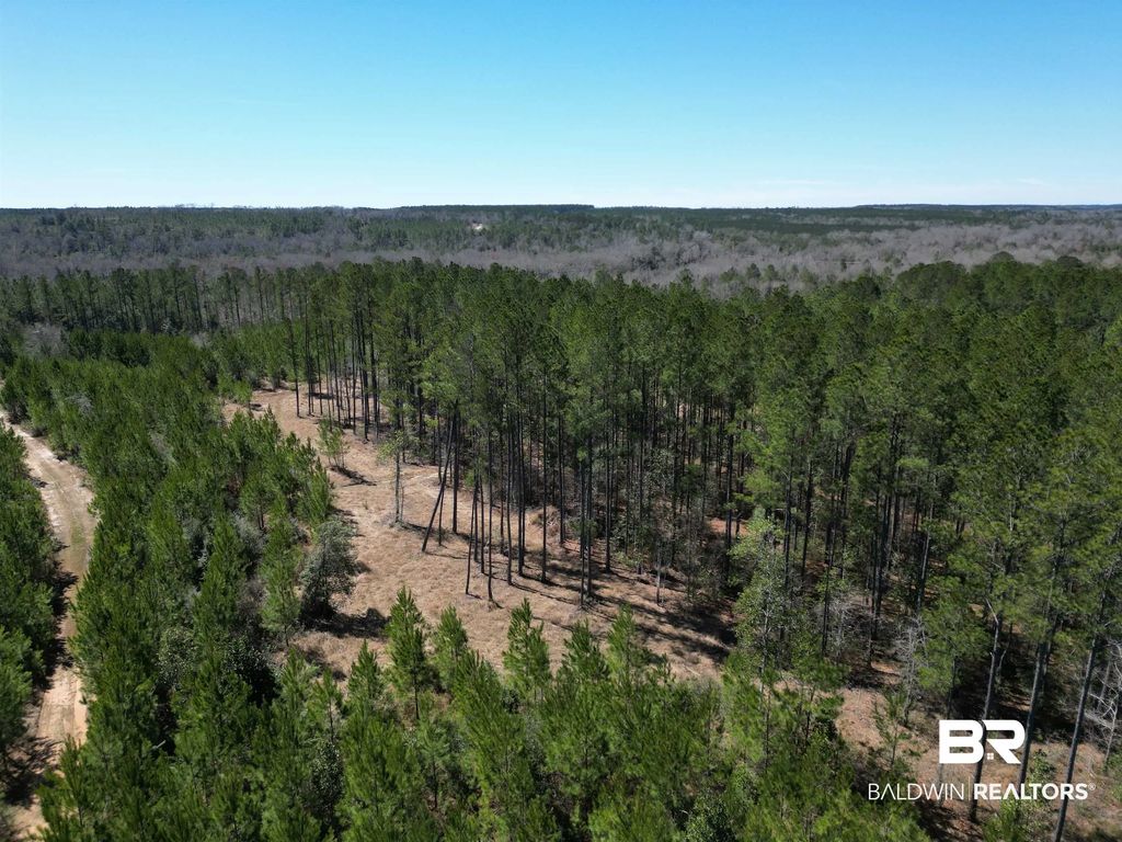 8 Robinsonville Road, Atmore