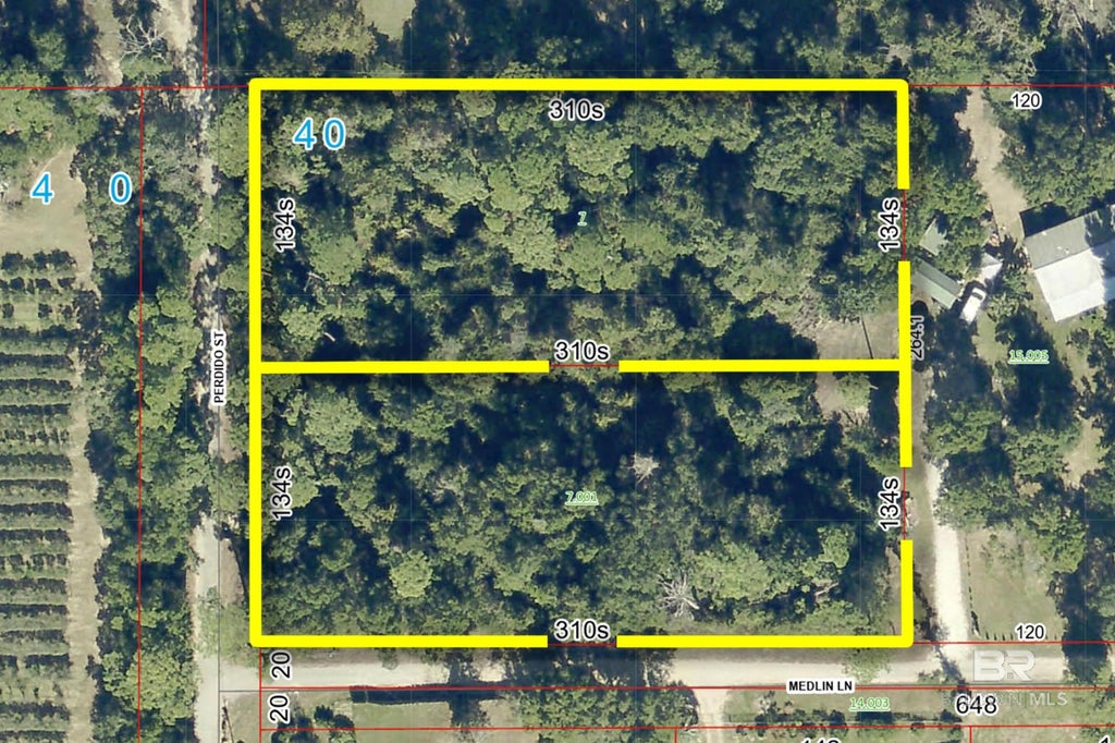 Perdido Street, Lillian