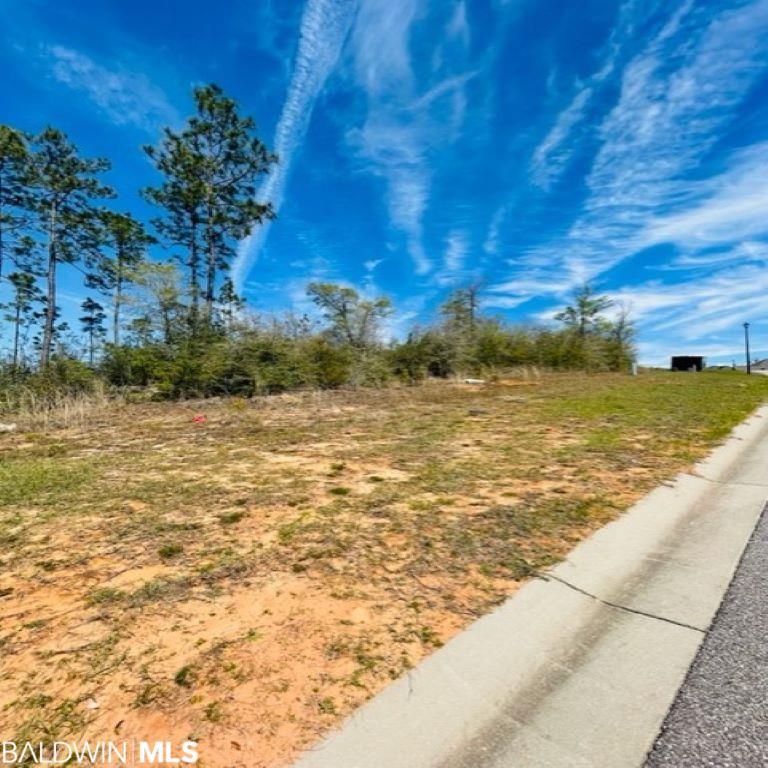 Elysian Fields Drive, Saraland Property Listing MLS® 343421