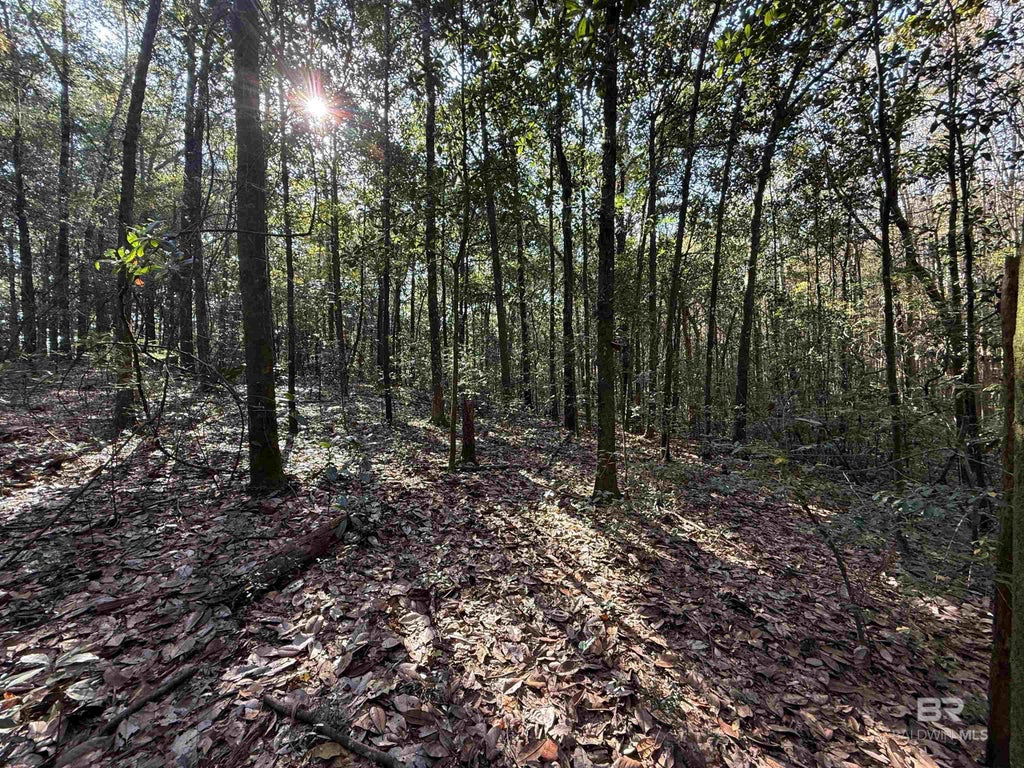 Youngstowne Drive, Semmes