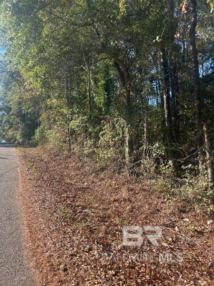 Lee Street, Castleberry