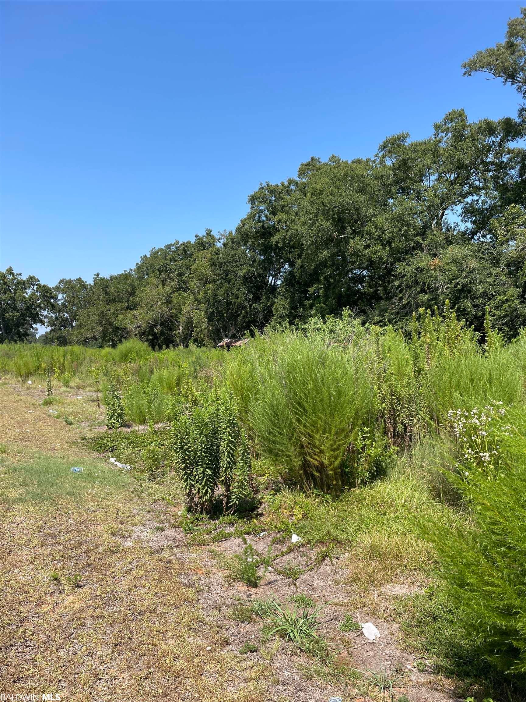 Old Pascagoula Road, Theodore Property Listing MLS® 351973