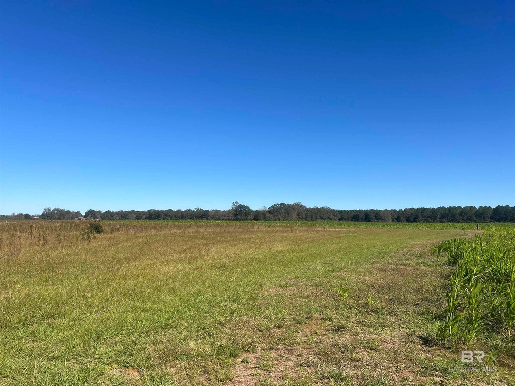 4900 Block Highway 97, Walnut Hill