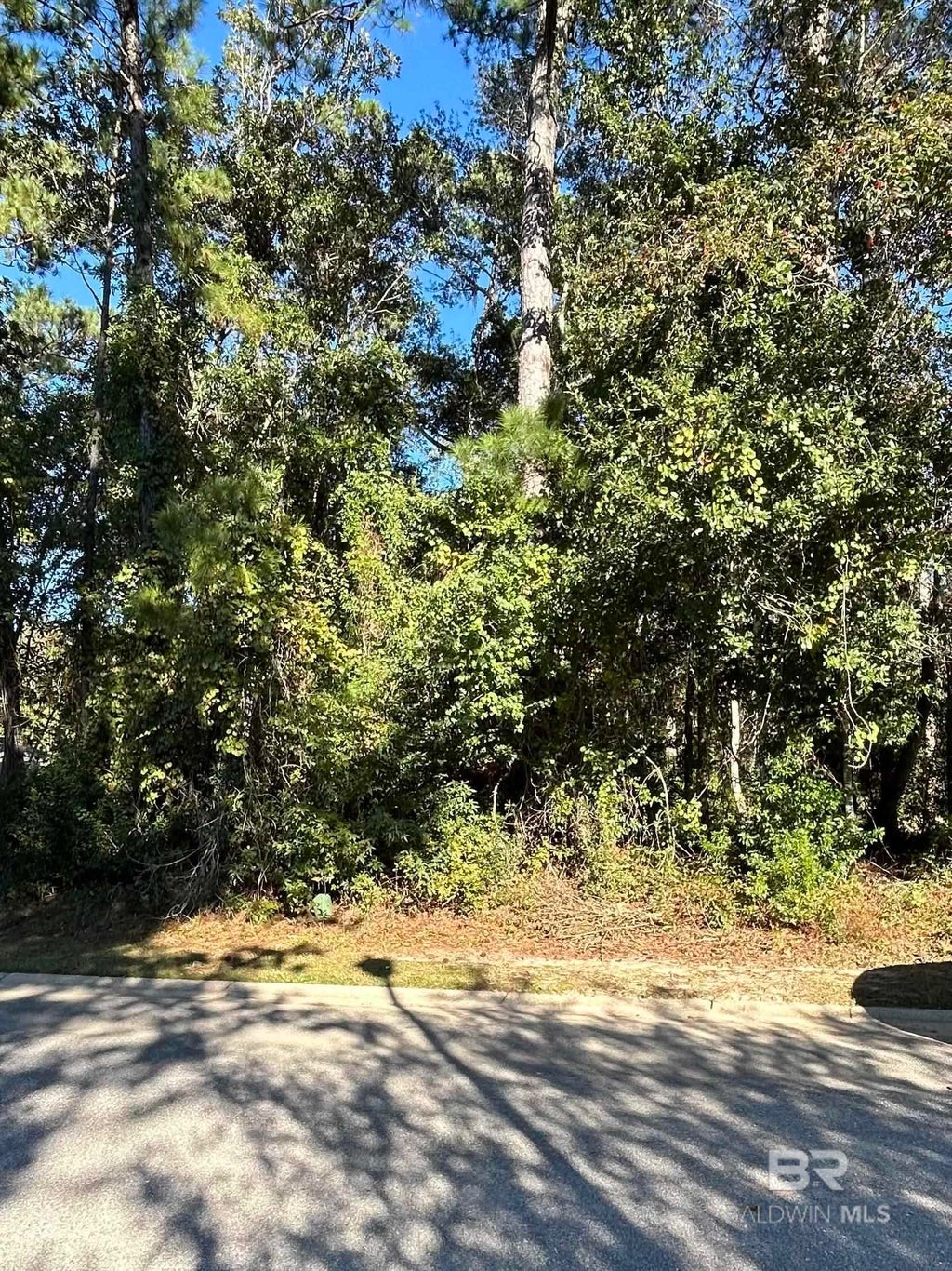 17330 Polo Ridge Boulevard, Fairhope